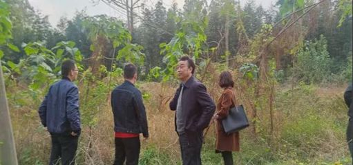 市環境攻堅辦調研組深入浉河區開展耕地土壤污染防治專項調研